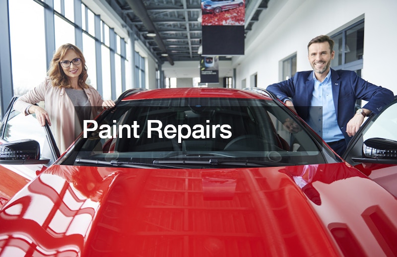 Paint Repairs