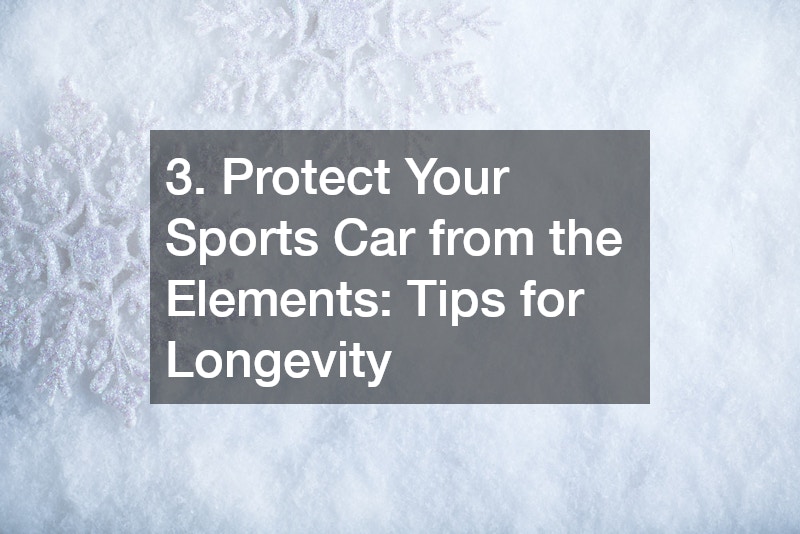 3. Protect Your Sports Car from the Elements: Tips for Longevity